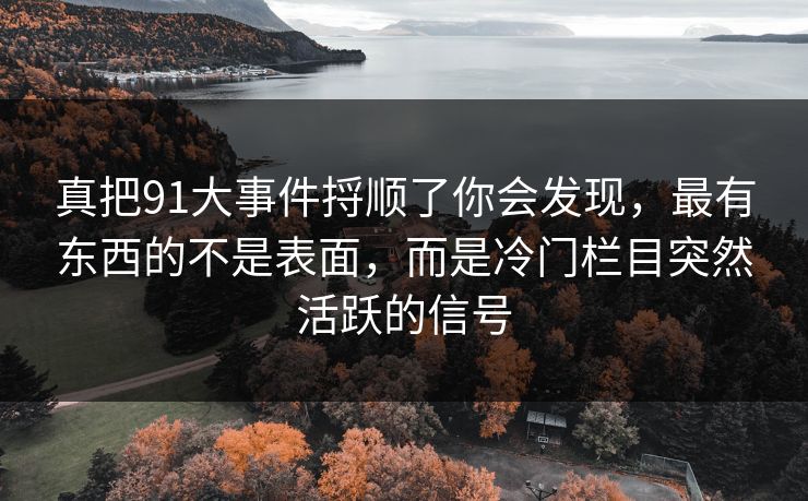 真把91大事件捋顺了你会发现，最有东西的不是表面，而是冷门栏目突然活跃的信号