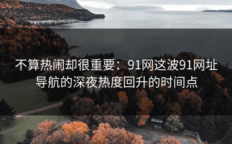 不算热闹却很重要：91网这波91网址导航的深夜热度回升的时间点