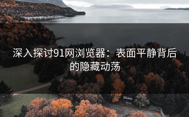 深入探讨91网浏览器：表面平静背后的隐藏动荡