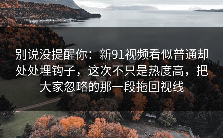 别说没提醒你：新91视频看似普通却处处埋钩子，这次不只是热度高，把大家忽略的那一段拖回视线