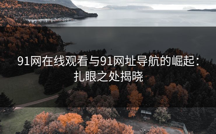 91网在线观看与91网址导航的崛起：扎眼之处揭晓