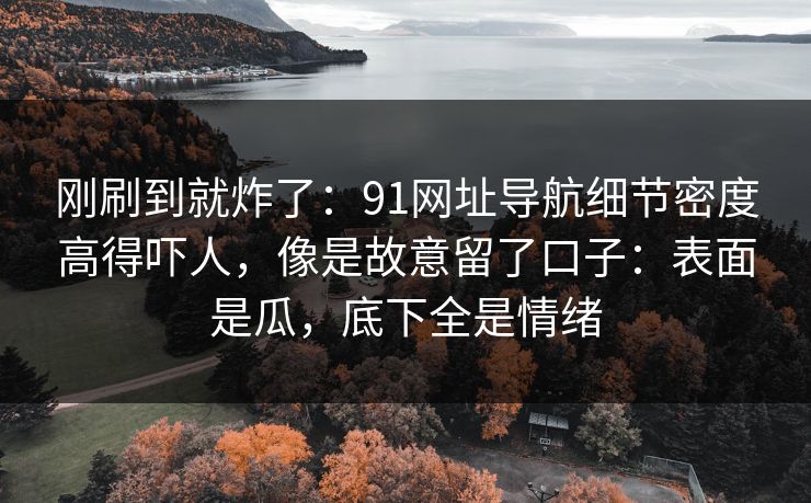 刚刷到就炸了：91网址导航细节密度高得吓人，像是故意留了口子：表面是瓜，底下全是情绪