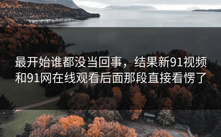 最开始谁都没当回事，结果新91视频和91网在线观看后面那段直接看愣了