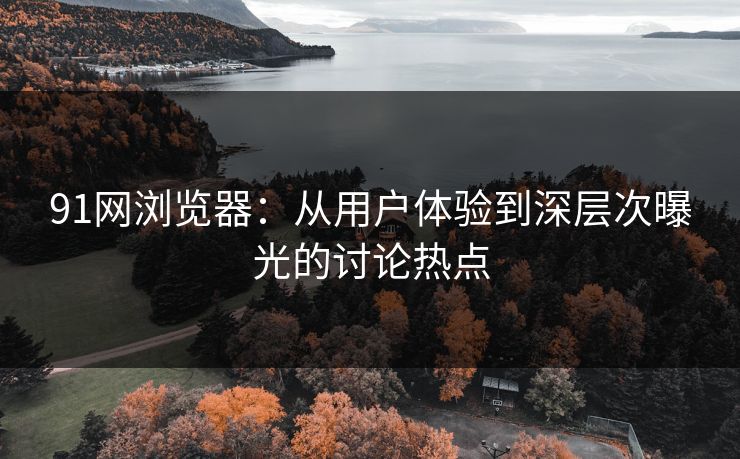 91网浏览器：从用户体验到深层次曝光的讨论热点
