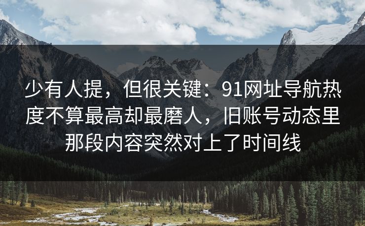 少有人提，但很关键：91网址导航热度不算最高却最磨人，旧账号动态里那段内容突然对上了时间线