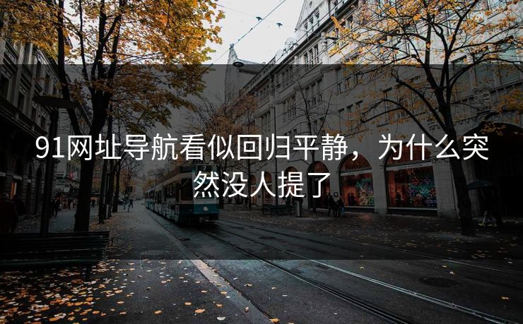 91网址导航看似回归平静，为什么突然没人提了