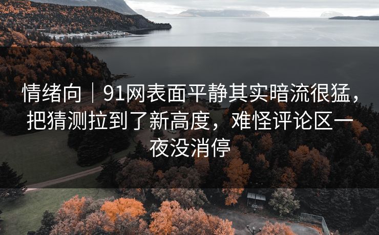 情绪向|91网表面平静其实暗流很猛,把猜测拉到了新高度,难怪评论区一夜没消停 情绪向|91网表面平静其实暗流很猛,把猜测拉到了新高度,难怪评论区一夜没消停